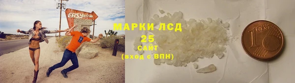 спайс Аркадак
