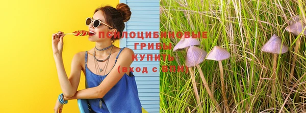 спайс Аркадак