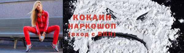 стафф Армянск