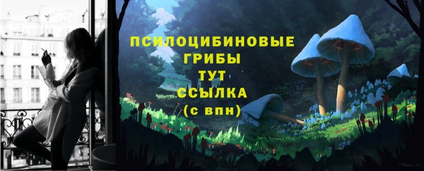 спайс Аркадак