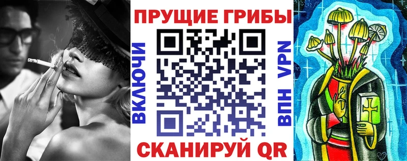 что такое   Аша  Галлюциногенные грибы Psilocybe 